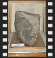 Stone meteorite KAINSAZ