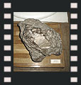 Iron meteorite SYROMOLOTOVO
