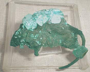 Chalcanthite and atacamite after the mouse.