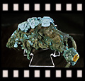   ,   . Chalcanthite and atacamite after the mouse.